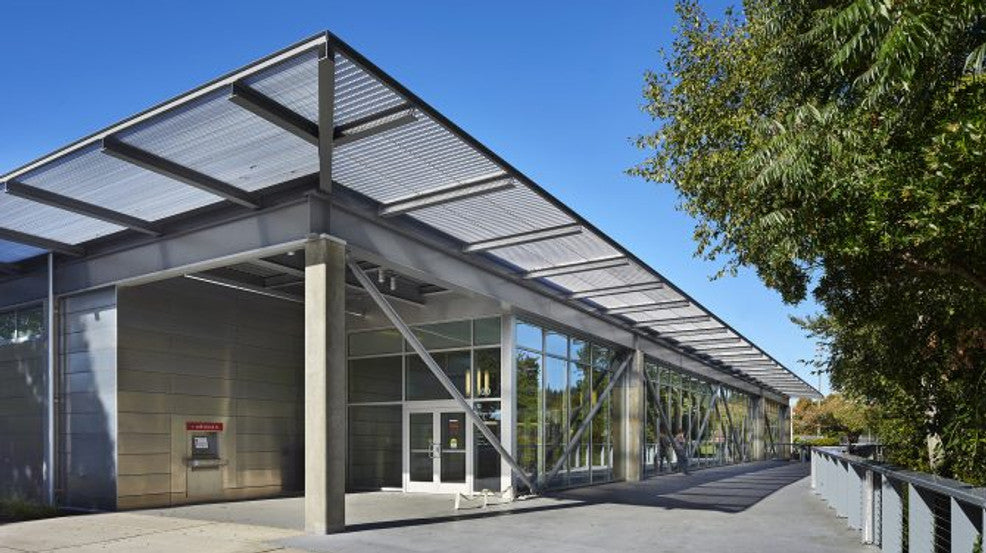 A book for every reader: Expand your knowledge of Black authors, history, and ideas