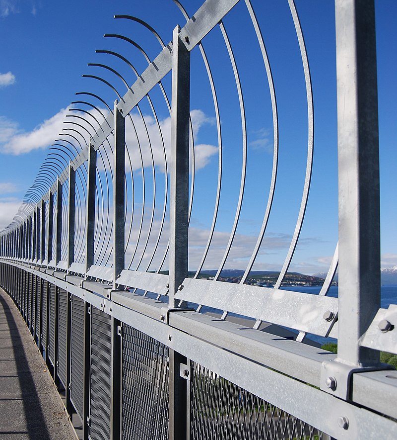 What Adolescent Group Has The Highest Suicide Rate?