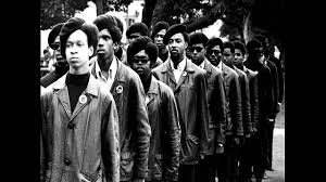 Black Panthers White Lies