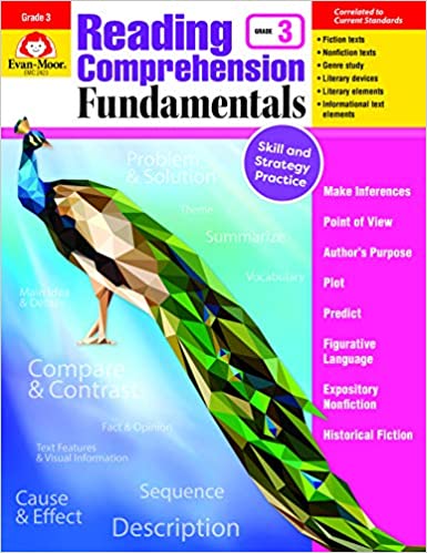 Item Number (Reading Comprehension Fundamentals) Paperback – January 1, 2018