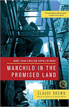 MANCHILD IN THE PROMISED LAND
