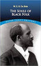 Best of DuBois: The Souls of Black Folk and Strivings of the Negro People Paperback – July 15, 2020